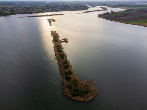 Palic islands 2